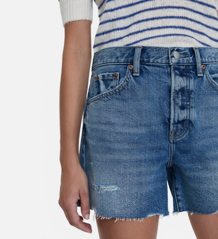 Andie Distressed Shorts in Thesis
